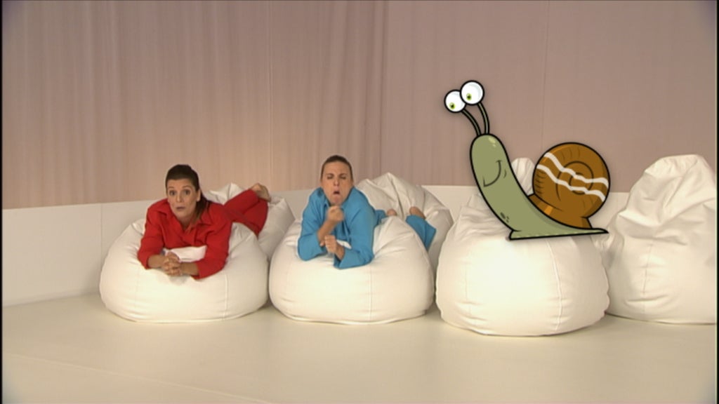 O Caracol que nem Pediu para ser Livre