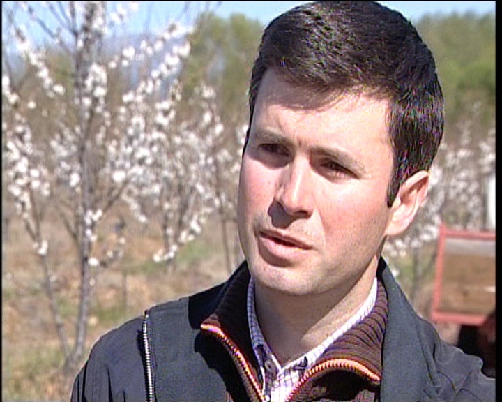 Produção de cereja na Cova da Beira