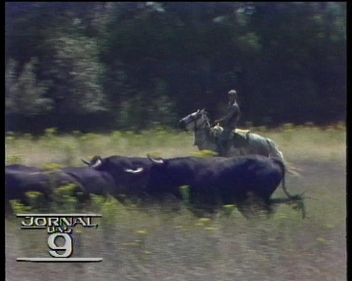 Retrato do distrito de Santarém