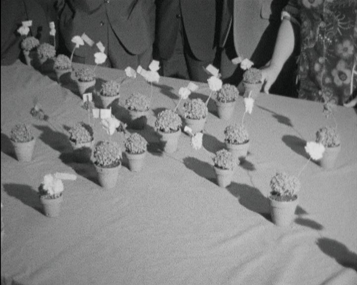 Visita a arraiais das festas dos Santos Populares