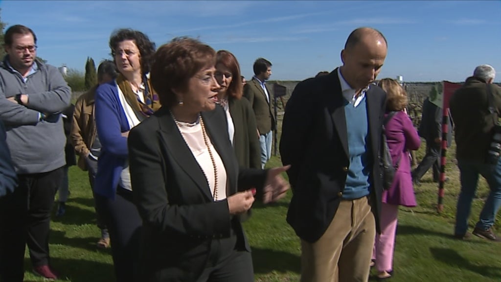 Dia Internacional da Mulher