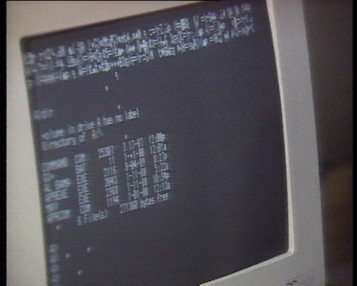 Os efeitos do vírus Jerusalém