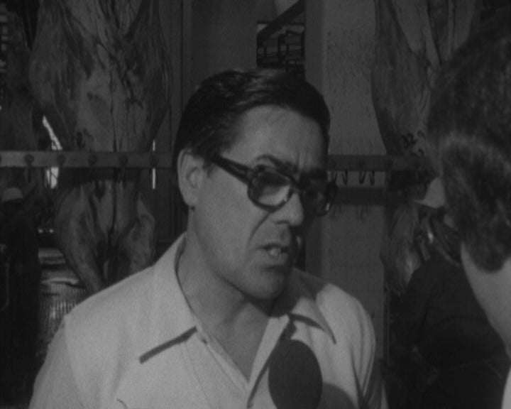 Reportagem no Matadouro de Lisboa