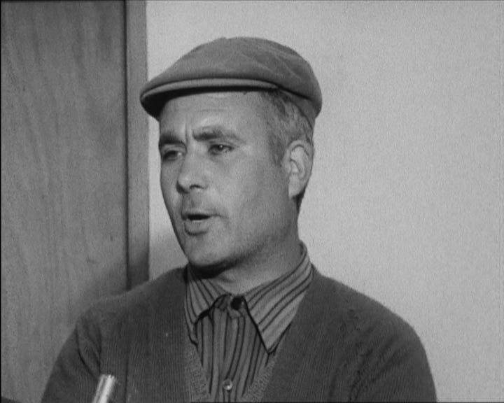 Funcionamento e vantagens das cooperativas agrícolas