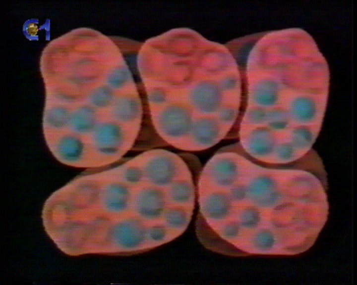 Vírus da hepatite B