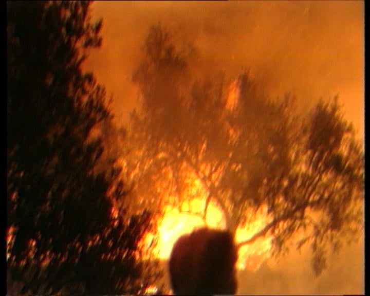 Portugal, pais de florestas ?