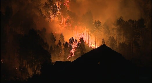 Incêndios florestais em Portugal