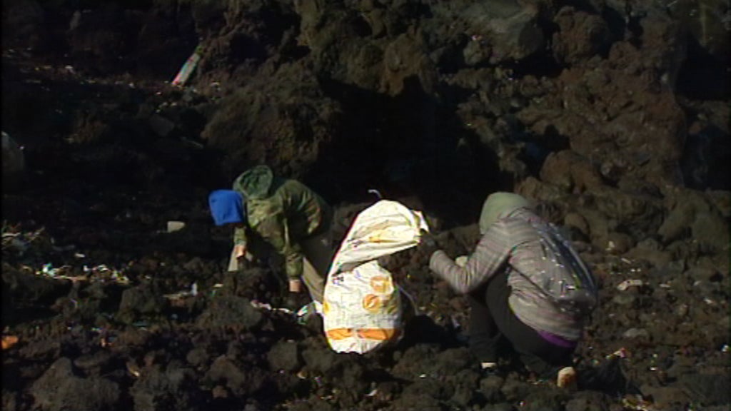 Limpeza na Praia do Norte