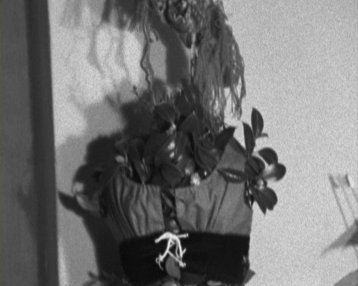 XX Salão Nacional de Educação Estética da Mocidade Portuguesa Feminina