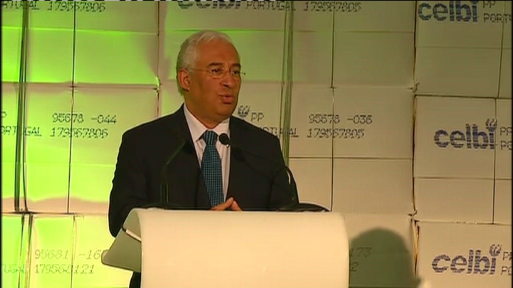 Investimento no setor florestal