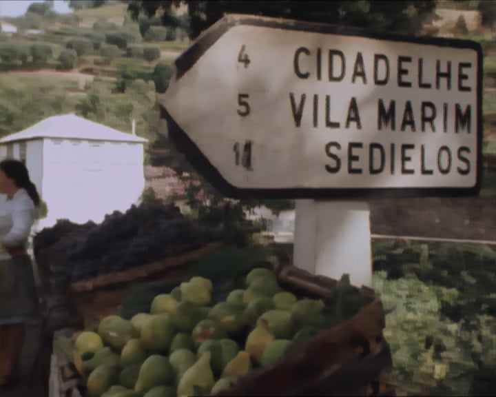 Outubro no Alto Douro – Parte II