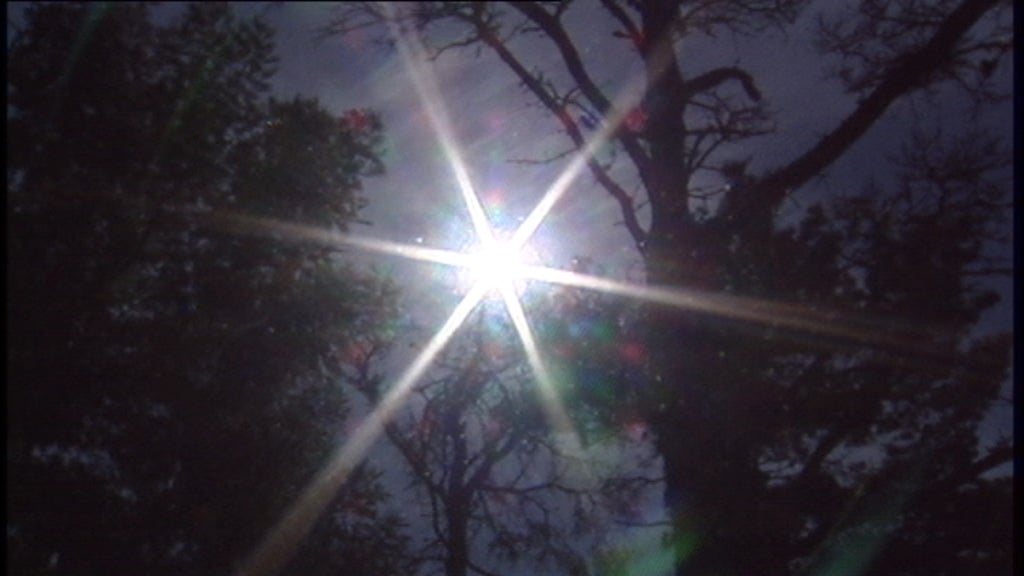 Combate ao insecto nemátodo