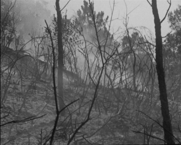 Incêndio na serra do Picoto