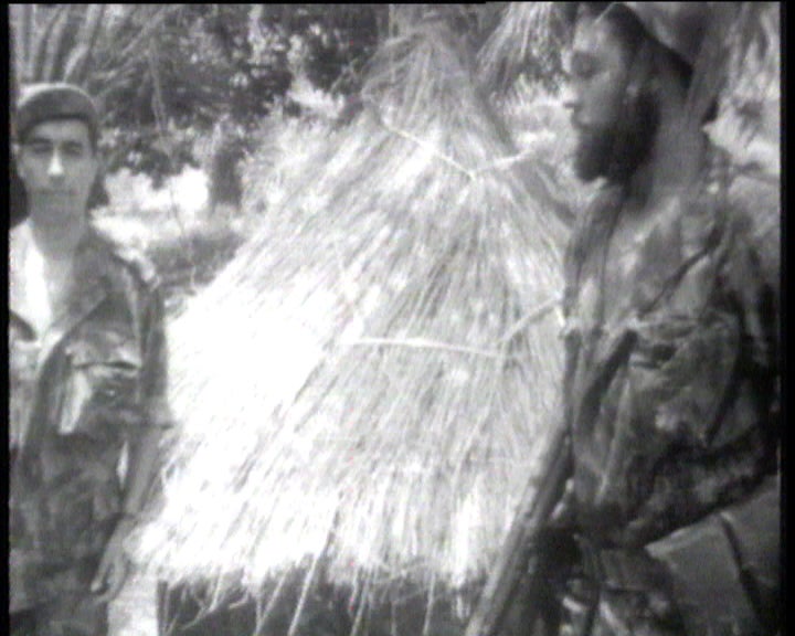 Comissão de acompanhamento para vítimas do stress de guerra