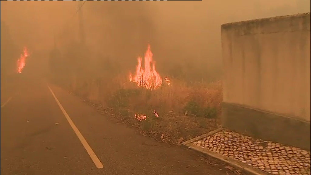 Incêndio florestal em Mação