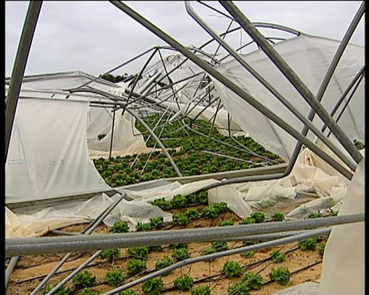 Apoio aos agricultores da Região do Oeste