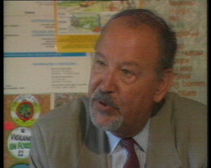 Fogos florestais de Verão I