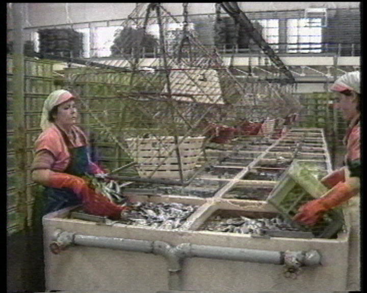 Indústria de conservas de sardinha