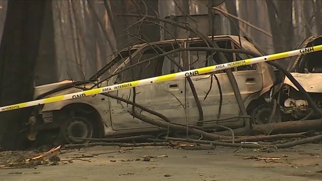 Relatório sobre incêndios florestais