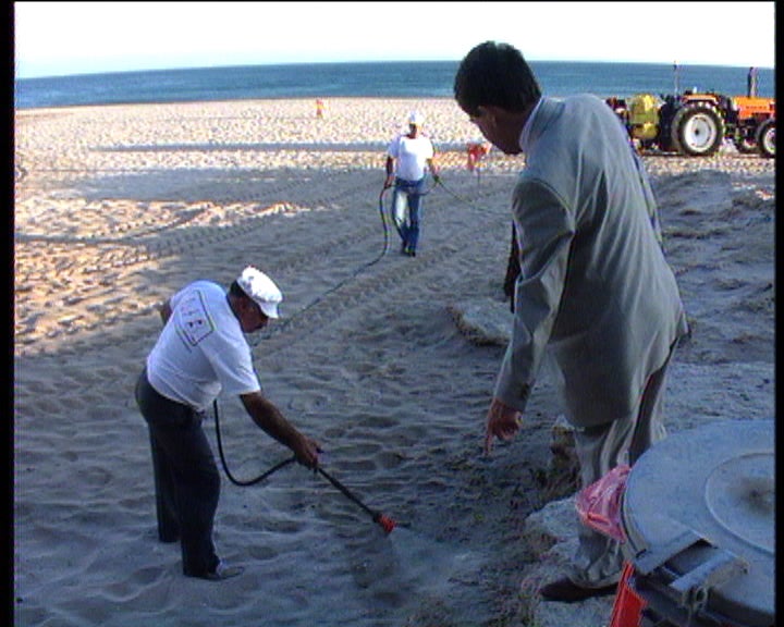 Limpeza da Praia de Carcavelos