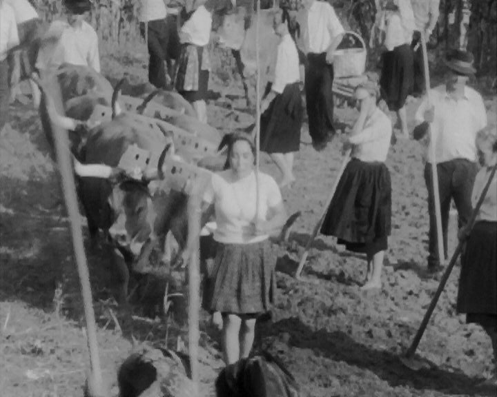 Canto de Trabalho no Minho