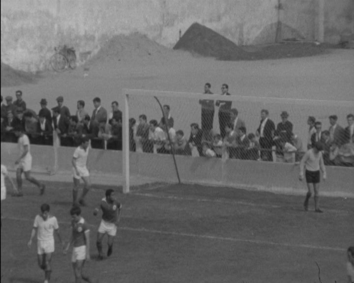 Futebol: Barreirense vs SL Benfica