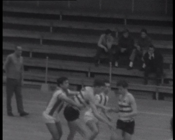 Basquetebol masculino