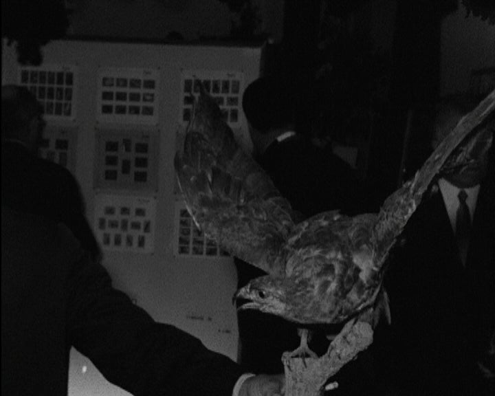 Exposição “Caça, Pesca e Natureza”