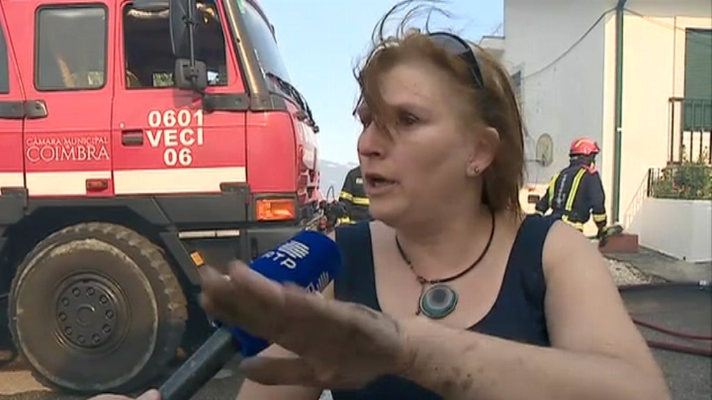 Incêndio florestal em Coimbra