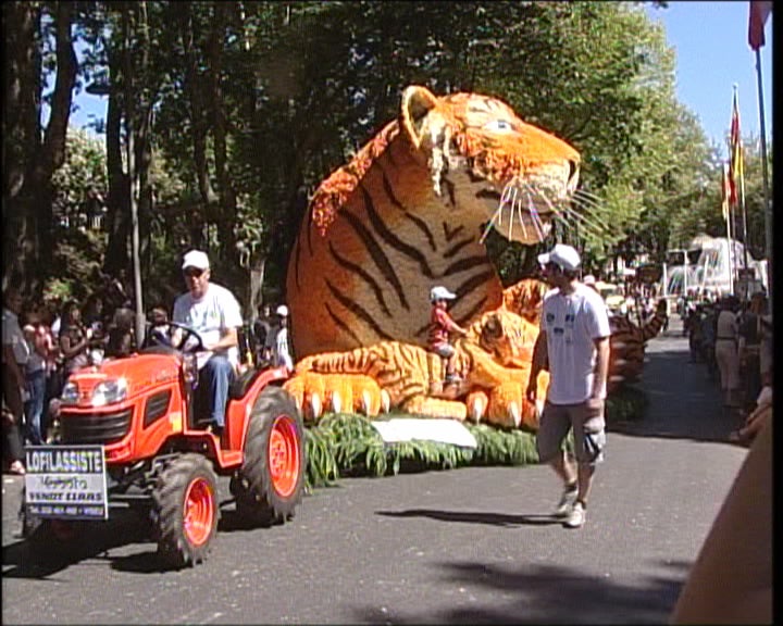 Cortejo das Cavalhadas de Vildemoinhos em Viseu