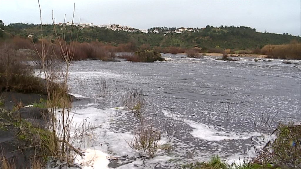 Poluição no Rio Tejo