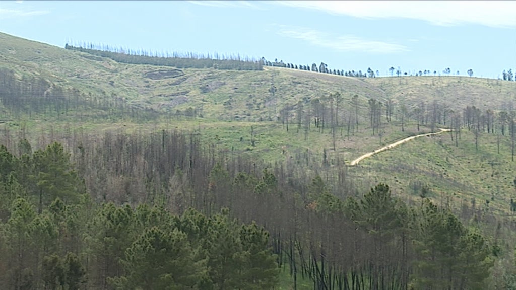 Contestação à prospeção de lítio