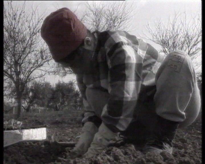 Medidas para atenuar seca em Portugal