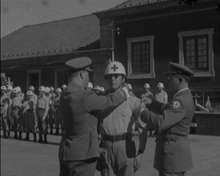 Voluntariado da Cruz Vermelha Portuguesa