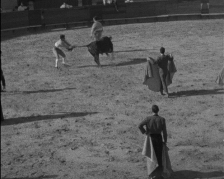 Garraiada na Póvoa de Varzim