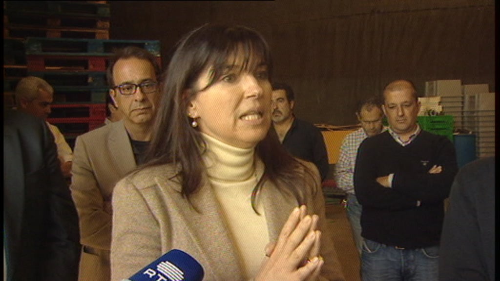 Rede ovelheira na Calheta