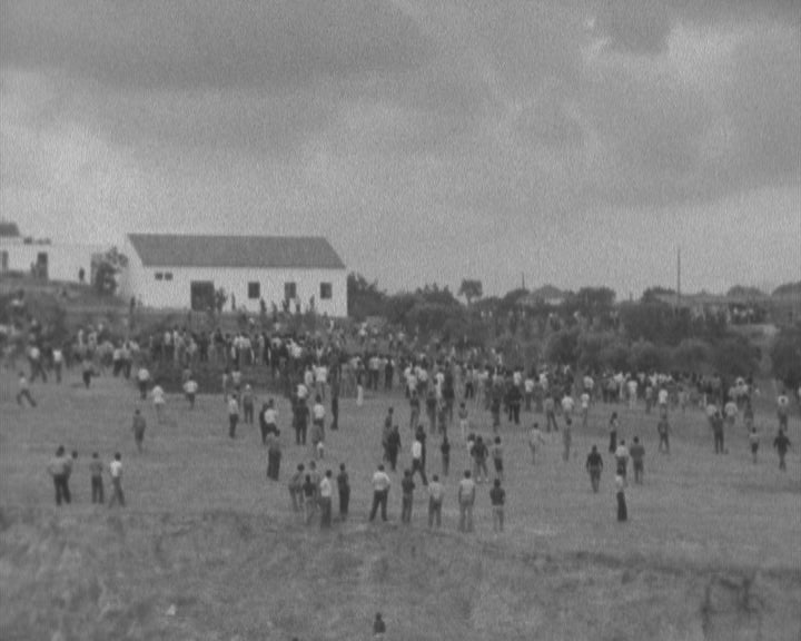 Largada de touros na Moita do Ribatejo