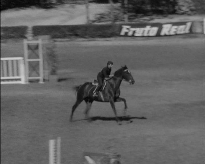 Hipismo: Campeonatos Nacionais