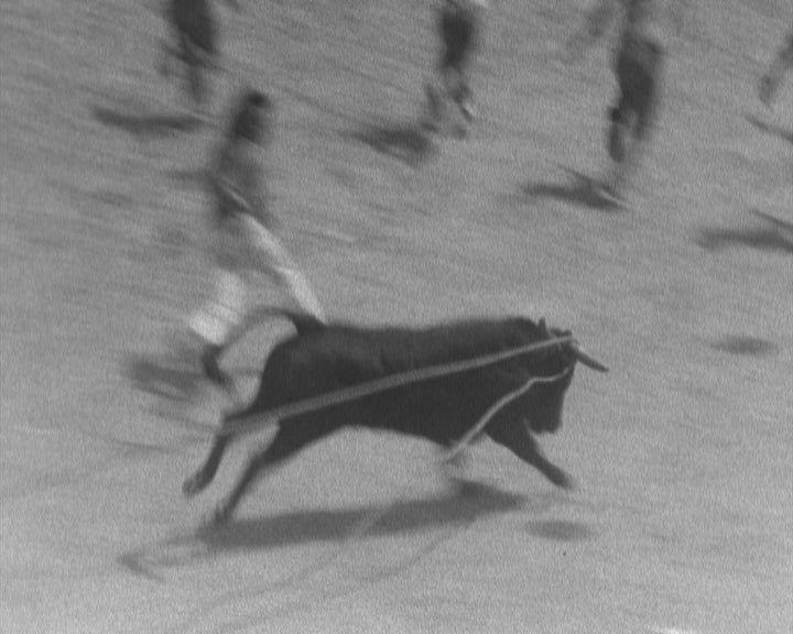 Espera e largada de toiros