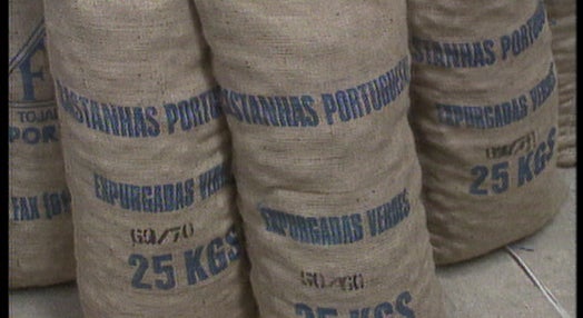 Aumento das exportações de castanha