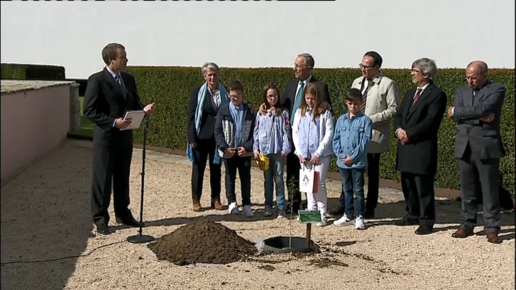 Dia Mundial da Árvore