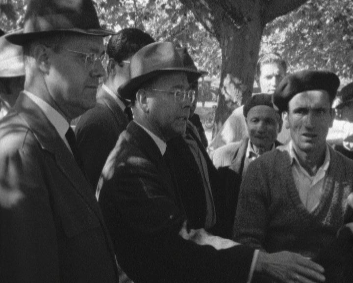 Concurso pecuário na Maia