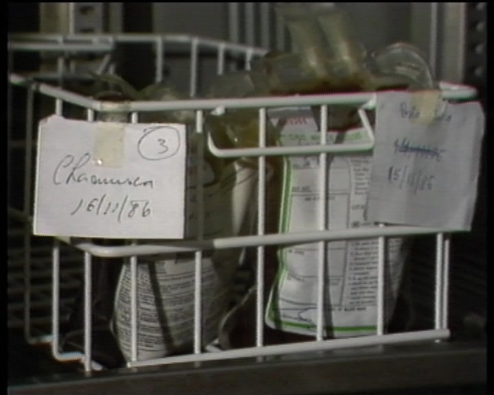 A falta de sangue em Portugal e fases da sua recolha