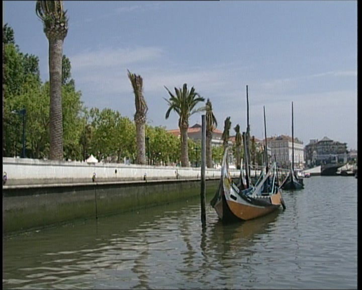 Ria de Aveiro e gastronomia da Torreira
