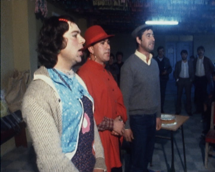 Campanha de Recuperação das Cegadas em Sesimbra