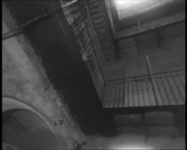 Viena e a criação intelectual