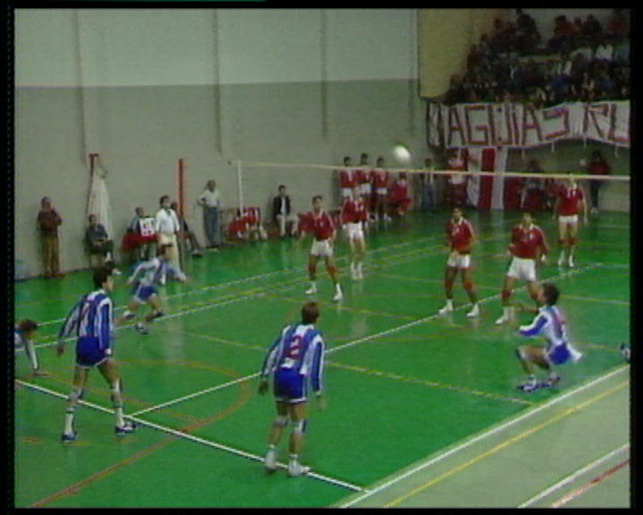 Voleibol Benfica vs FC Porto