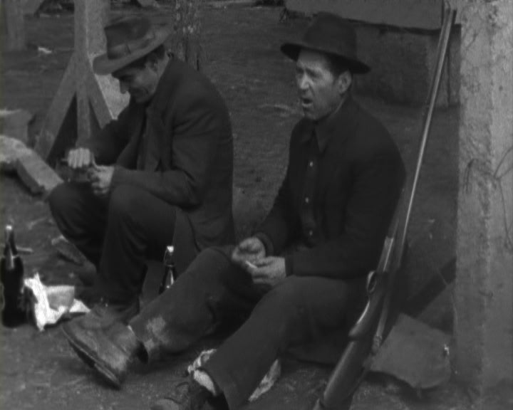 Batida aos lobos e raposas em Bragança