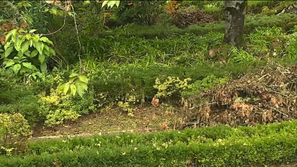 Jardim Botânico em Coimbra