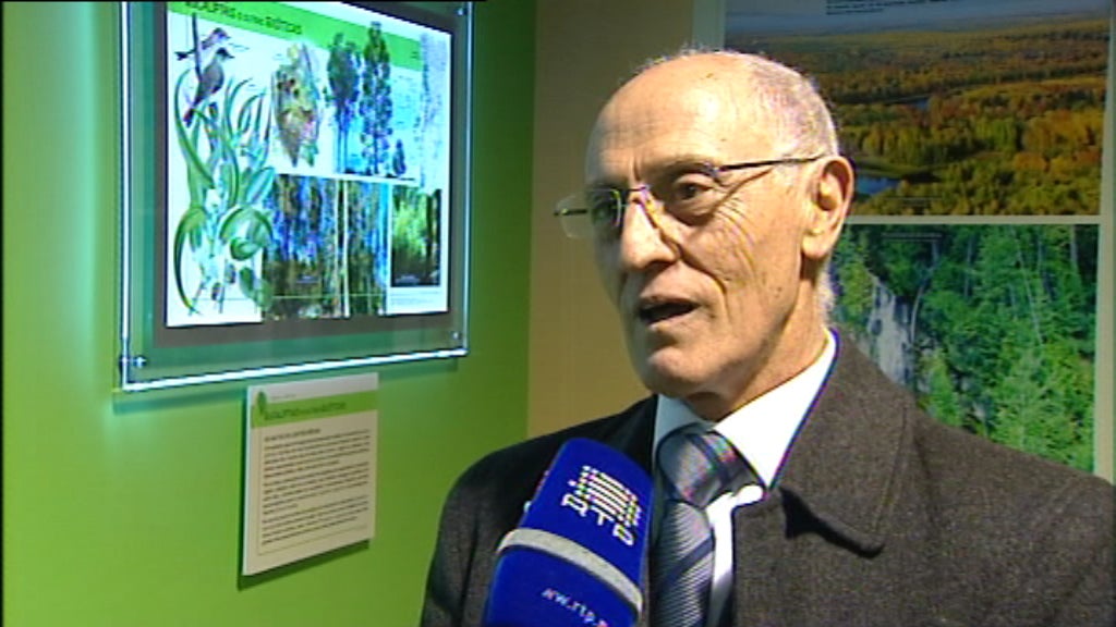 Homenagem a Frias Martins